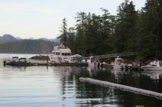 Boats at Campsite