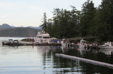Boats at Campsite